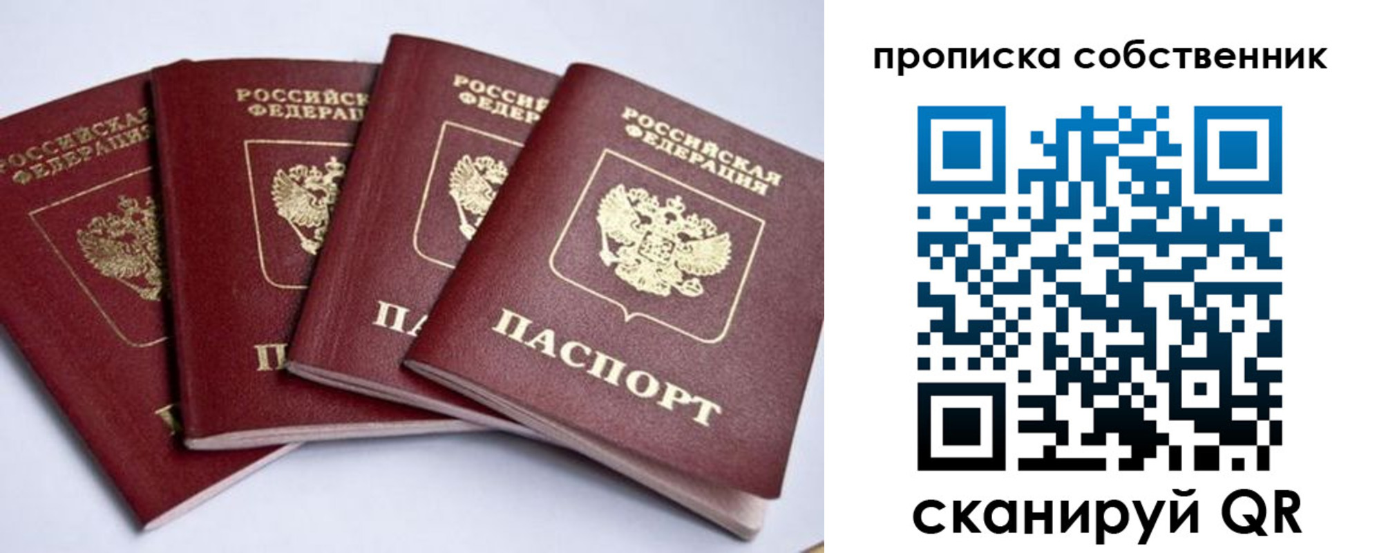 миграционный учет в Курской области